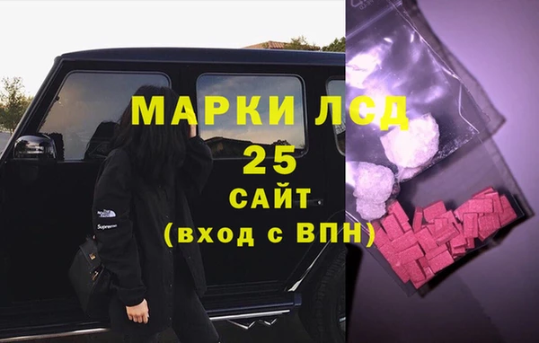 ПСИЛОЦИБИНОВЫЕ ГРИБЫ Абаза