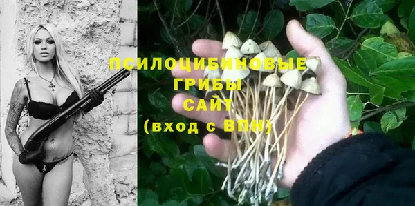 не бодяженный Абдулино