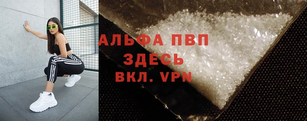 стаф Абинск