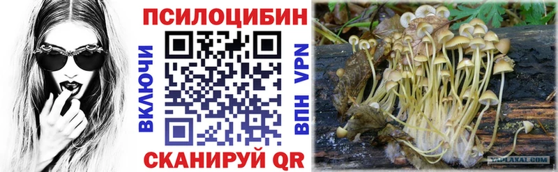 наркотики  Краснодар  Псилоцибиновые грибы прущие грибы 